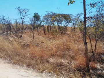 Mutare Plots For Sale 