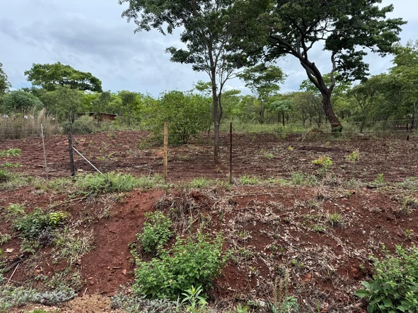 4452 m² Land for Sale in Prestigious Shawasha Hills, Harare North