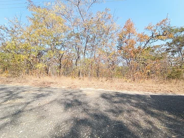 Amazing Dam Views on 1.1 Hectares in Gold Dust!