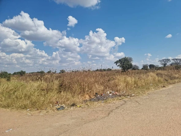 School Stand For Sale