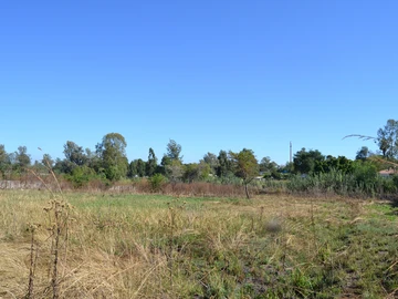 7500 m² Residential Land in Hatfield,  Suitable For Cluster Development , Water & Sewerline