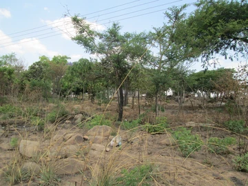 Residential Land for Sale:  St Martins, Harare South